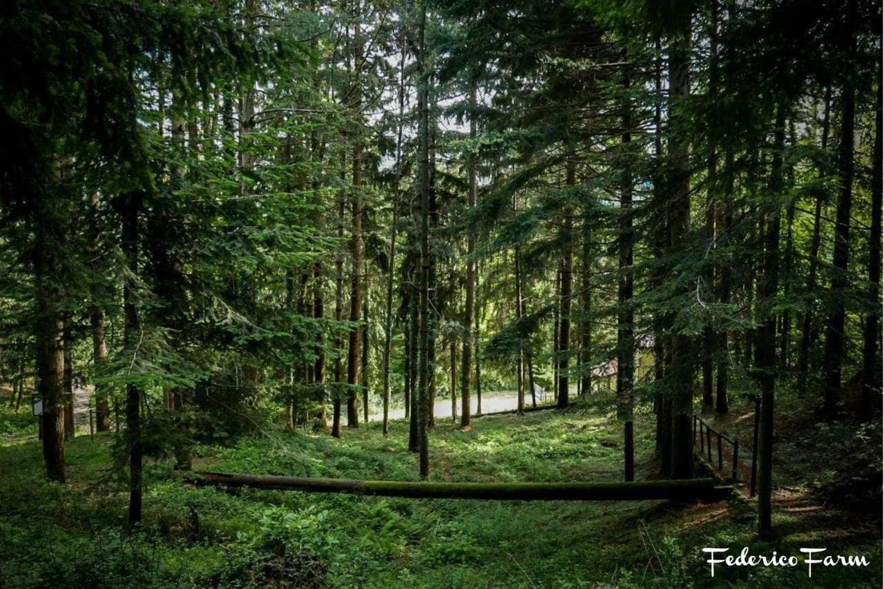 Camping Grondola - Federicofarm ปอนเตรโมลิ ภายนอก รูปภาพ