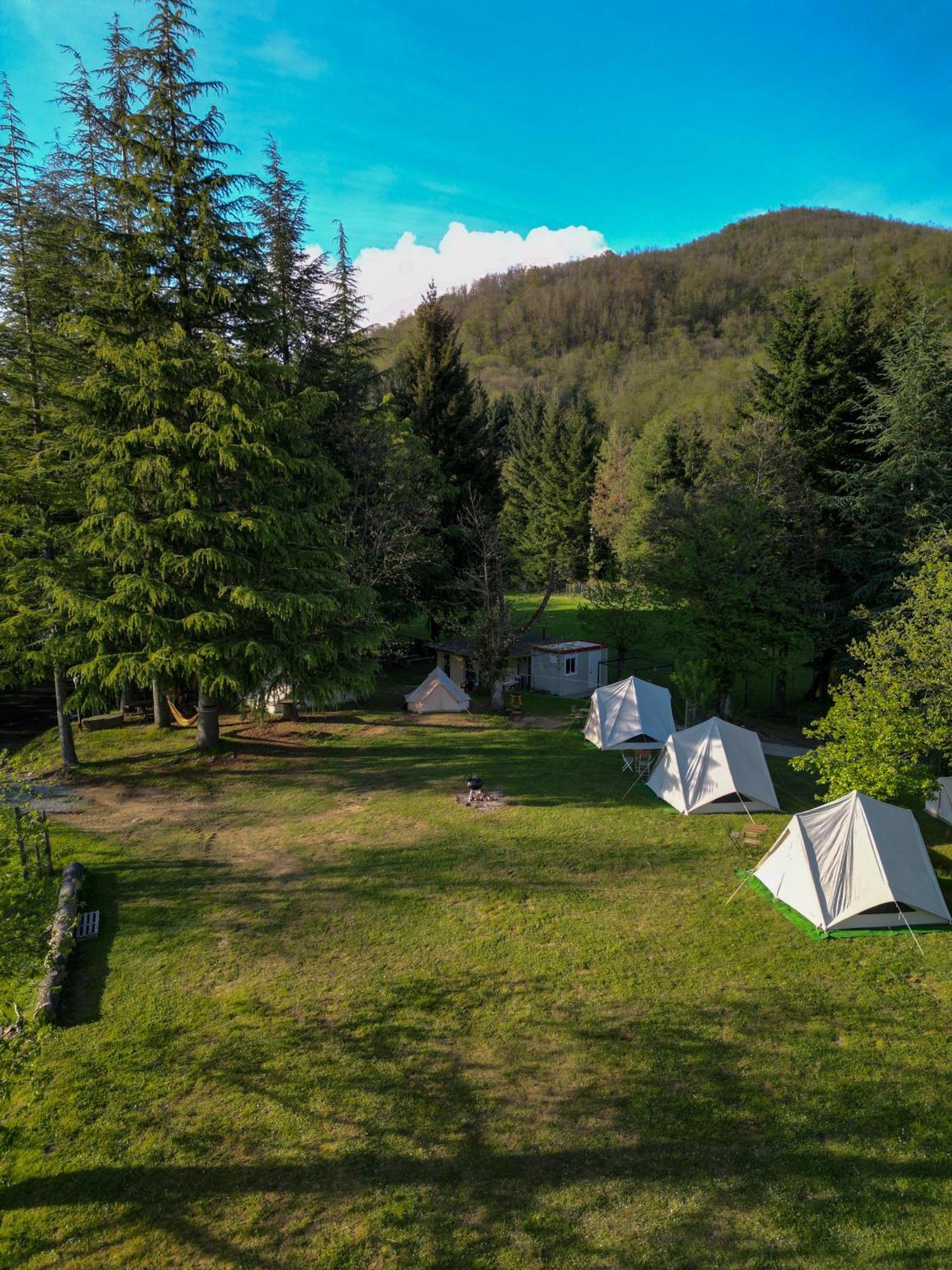 Camping Grondola - Federicofarm ปอนเตรโมลิ ห้อง รูปภาพ